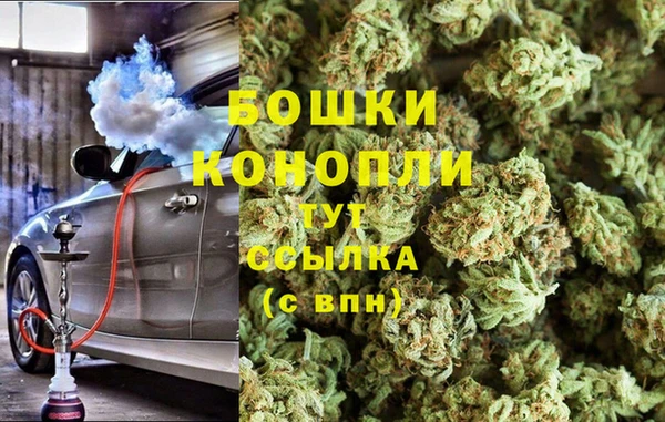 гидра Алексеевка