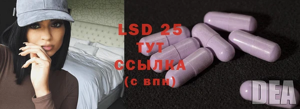 гидра Алексеевка