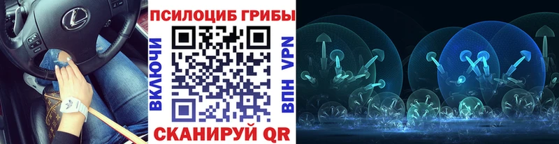 купить наркотик  Новая Ляля  Галлюциногенные грибы прущие грибы 